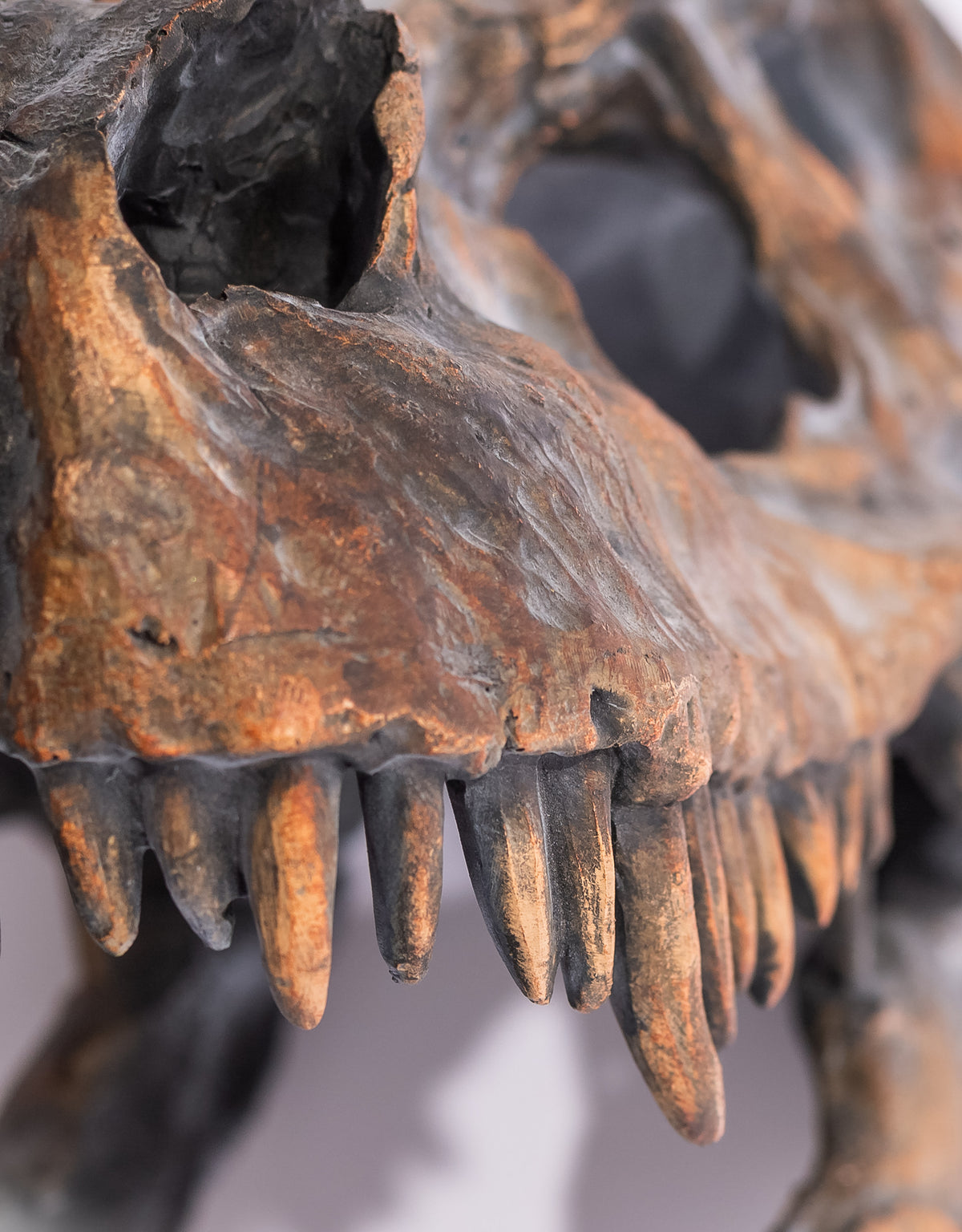 Large T-Rex Skull Wall Head - BD88