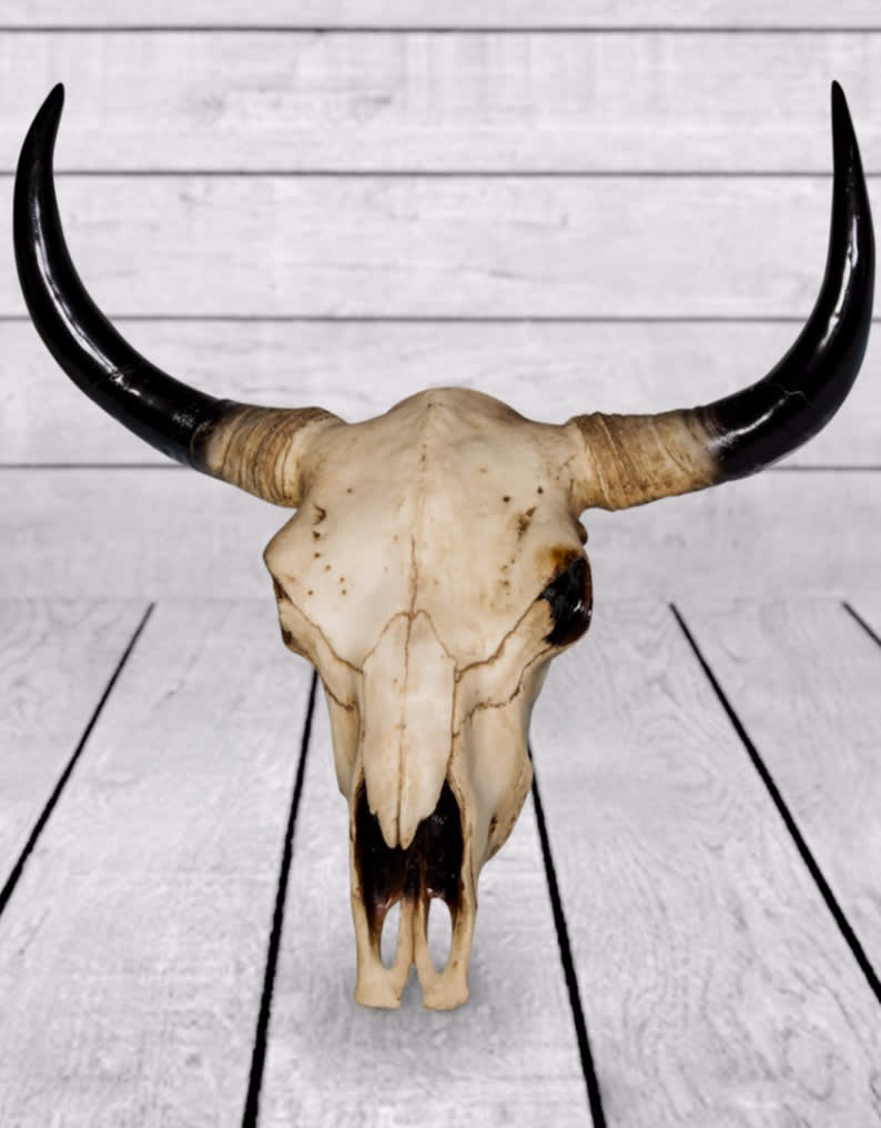 Extra Large Bison Skull Wall Head - BD101