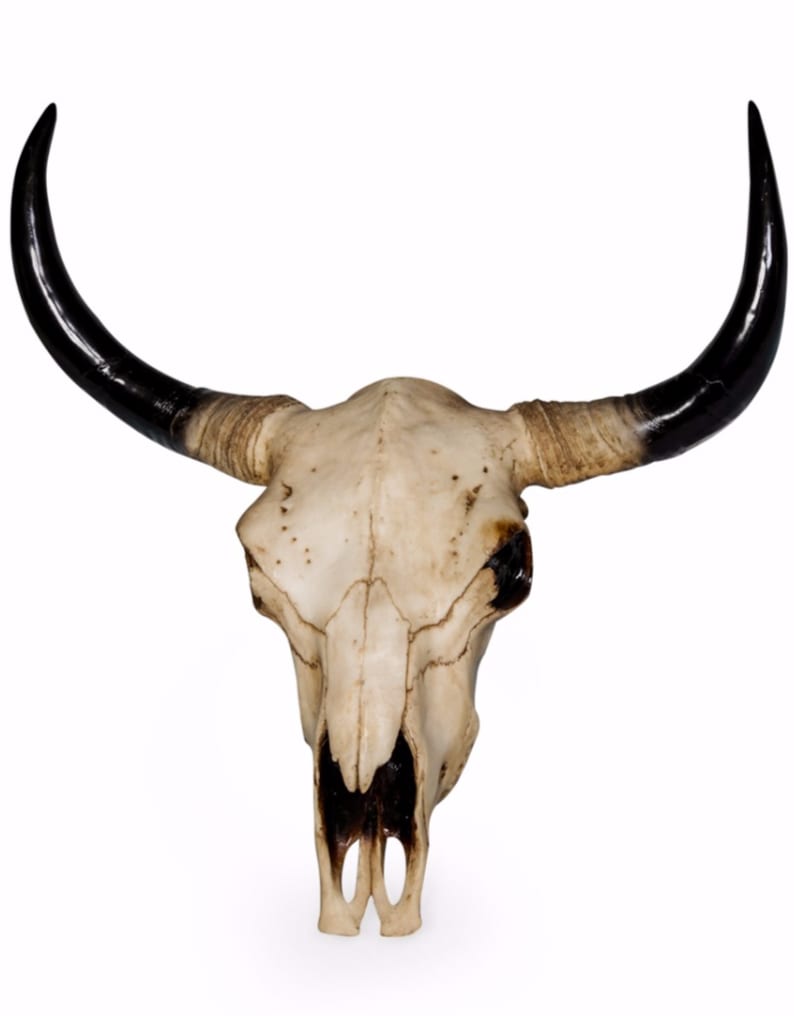 Extra Large Bison Skull Wall Head - BD101