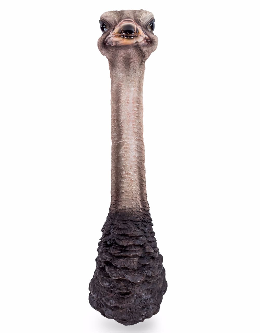 Ostrich Head Wall Figure - BD143