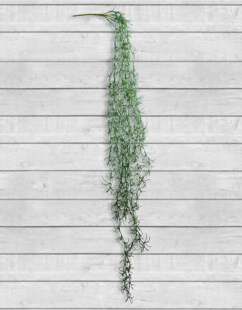 Ornamental Hanging Vine - AF45