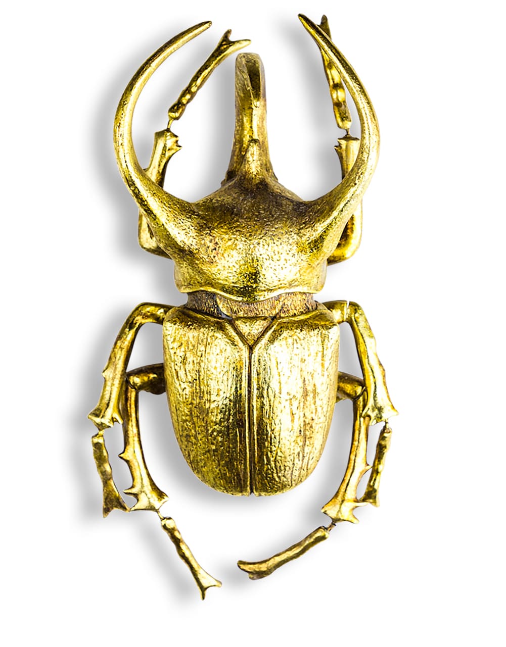 Extra Large Gold Beetle Wall Decor - TPR13