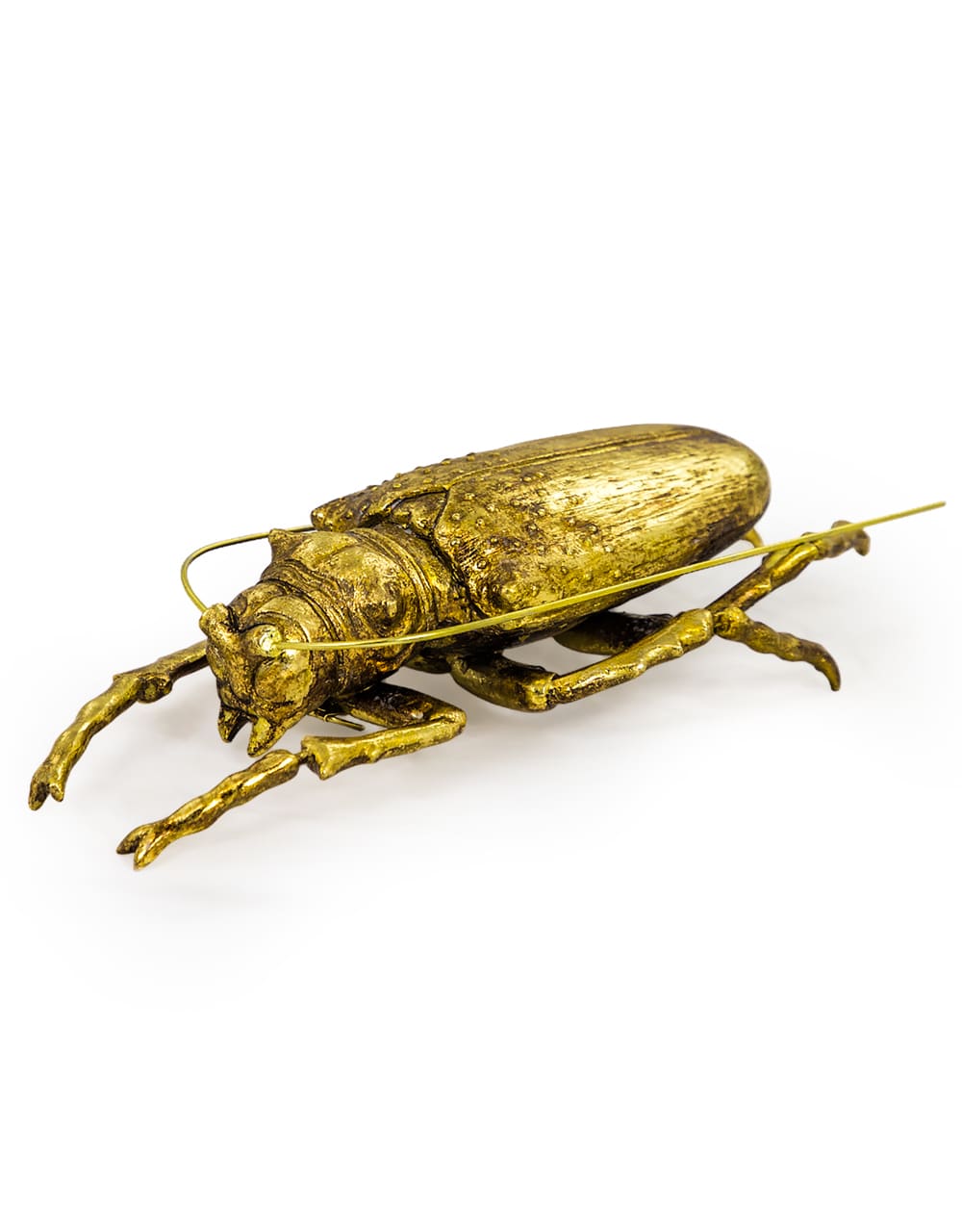 Large Gold Beetle Wall Hanging (to be bought in qtys of 2) - TPR14