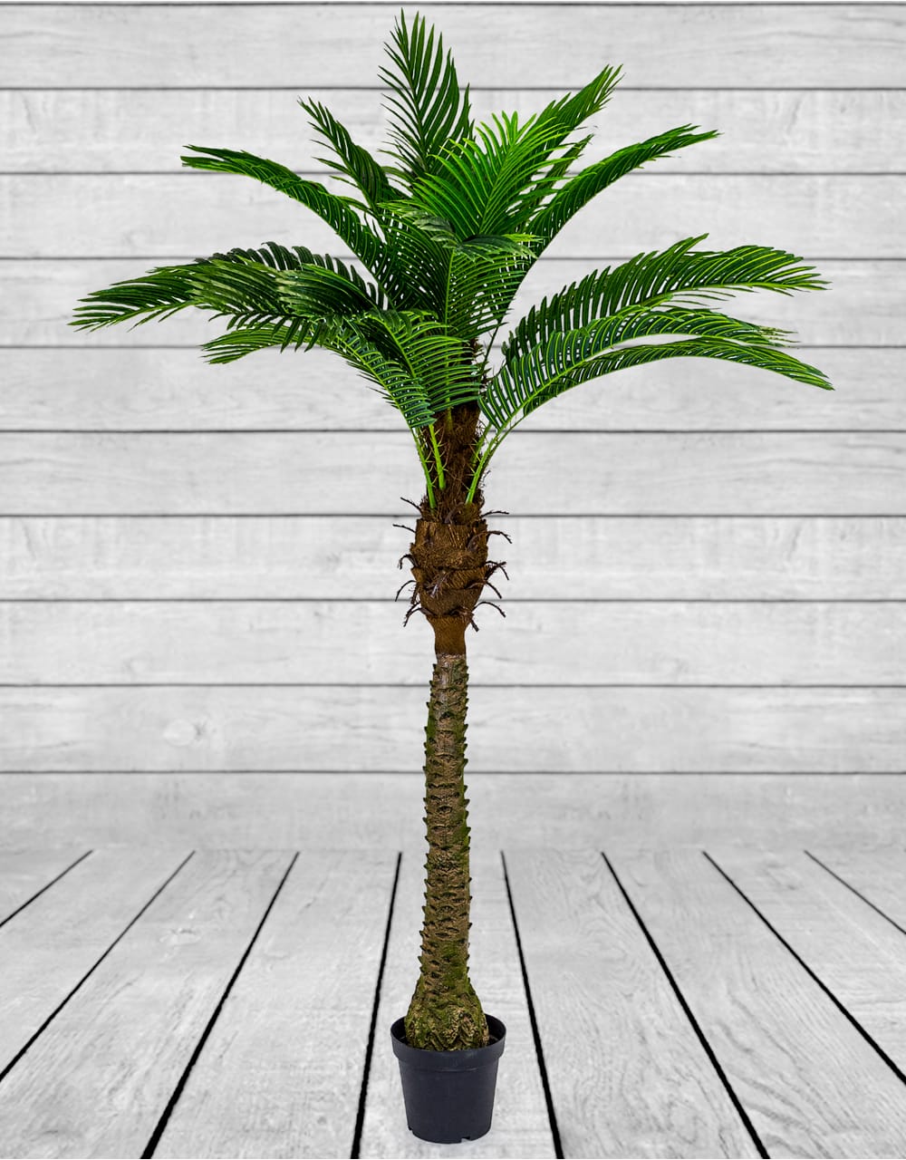 Ornamental Large Palm Tree in Black Pot - AF54