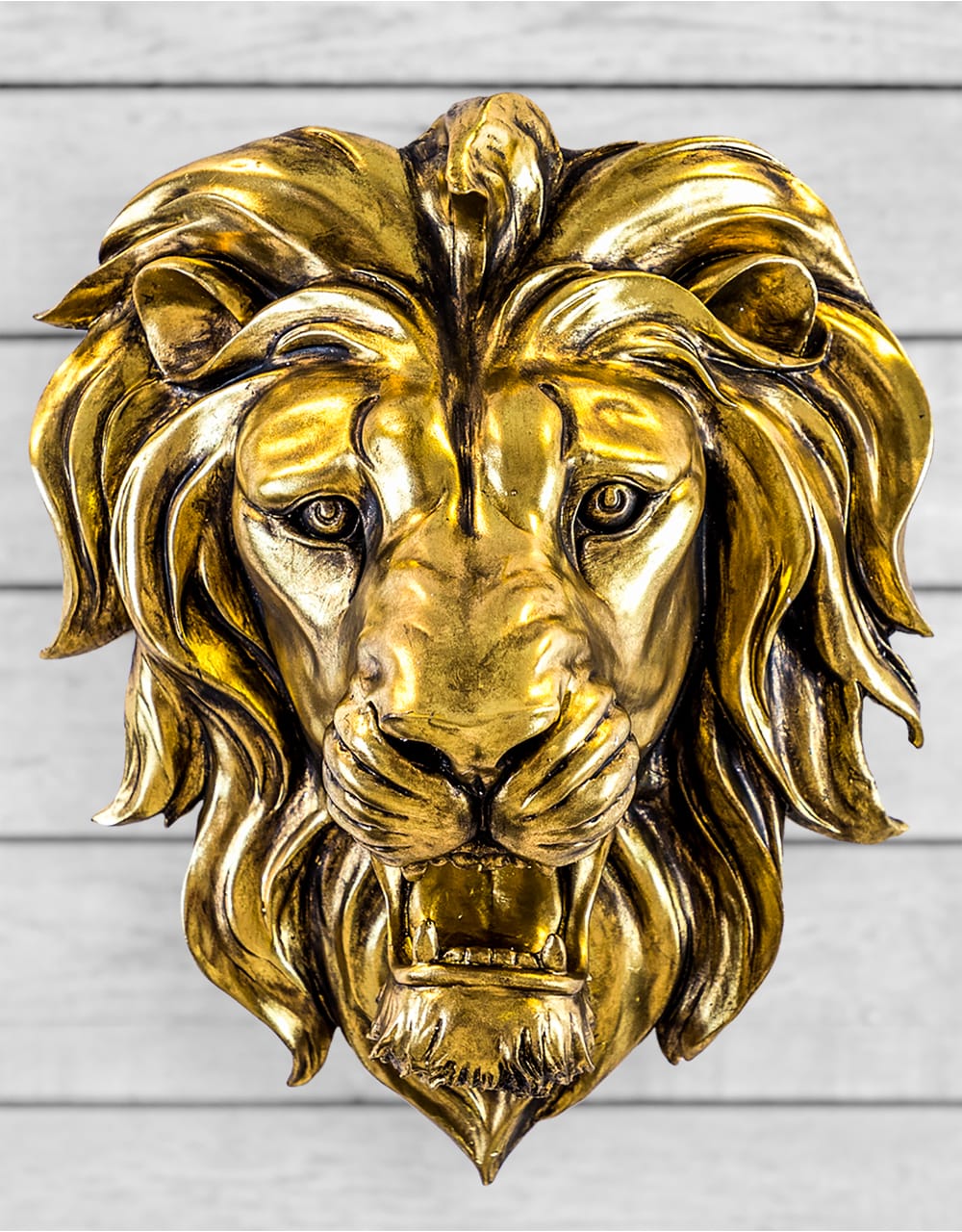 Large Gold Roaring Lion Wall Head - DVM29
