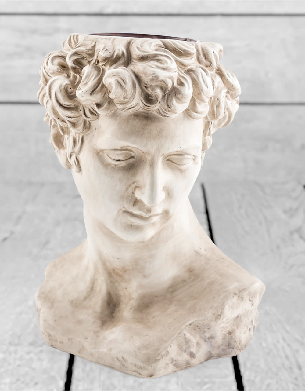 Stone Effect David Bust Flower Pot - CRT51