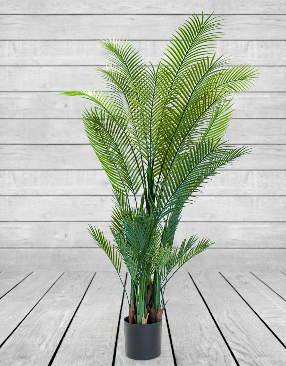 Large Ornamental Palm Tree in Black Pot - AF87