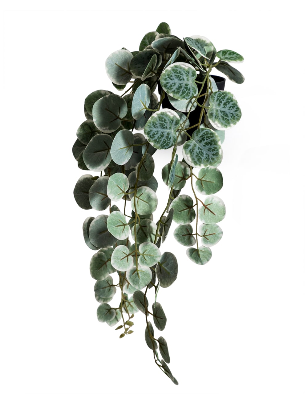 Ornamental Hanging "Chain of Hearts" in Black Pot (to be bought in qtys of 12) - AF88