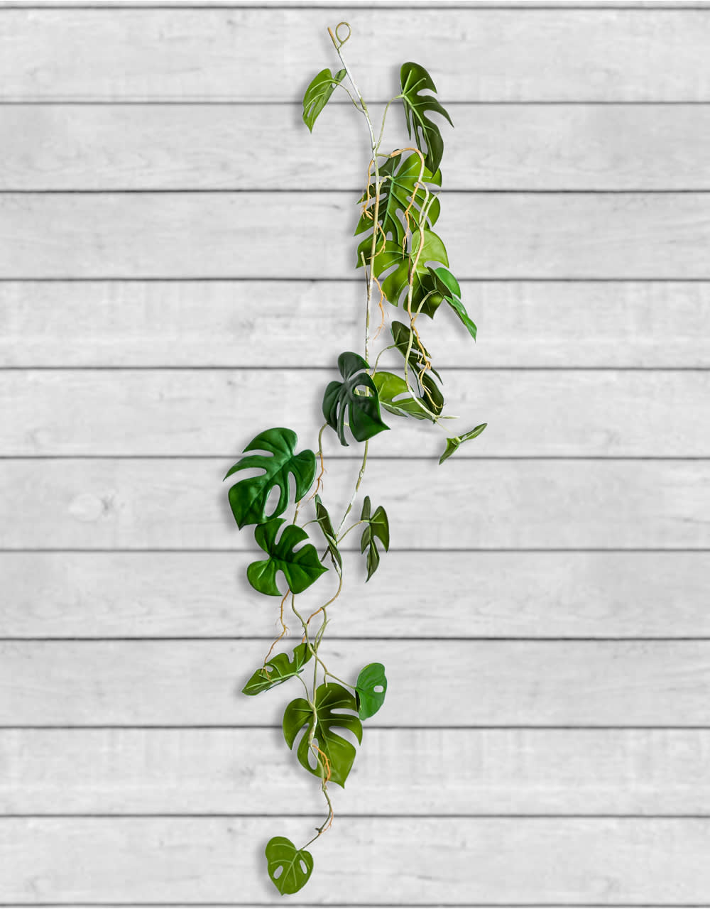 Ornamental Hanging Monstera Leaf Vine (to be bought in qtys of 12) - AF91