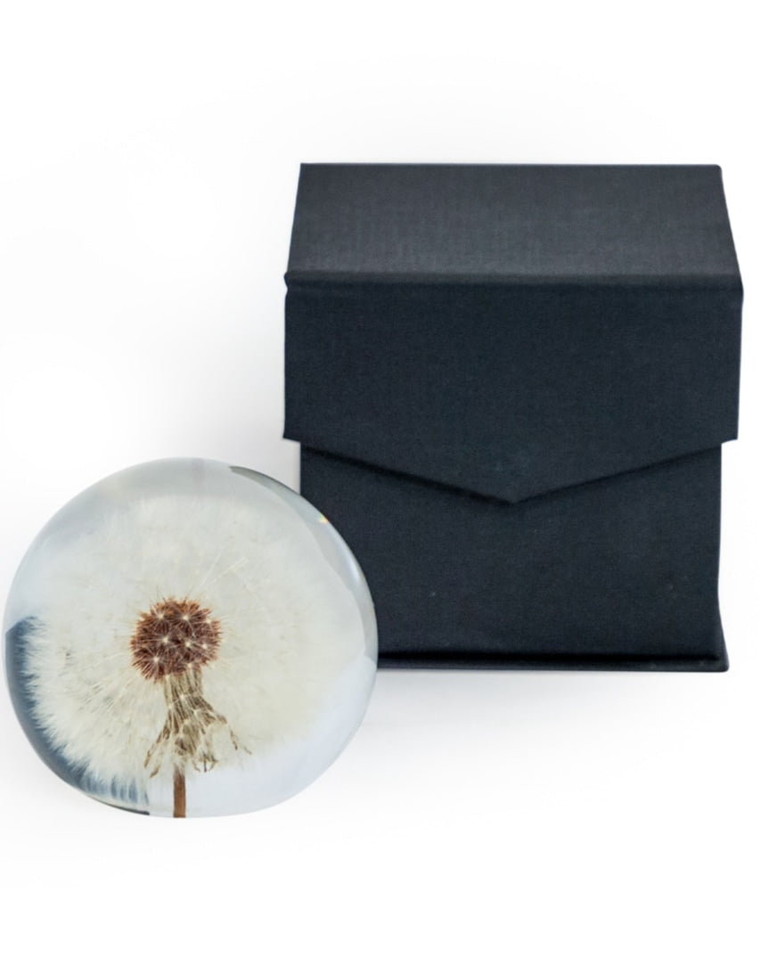 Large Round Acrylic Glass Real Dandelion Paperweight with Gift Box - GW138