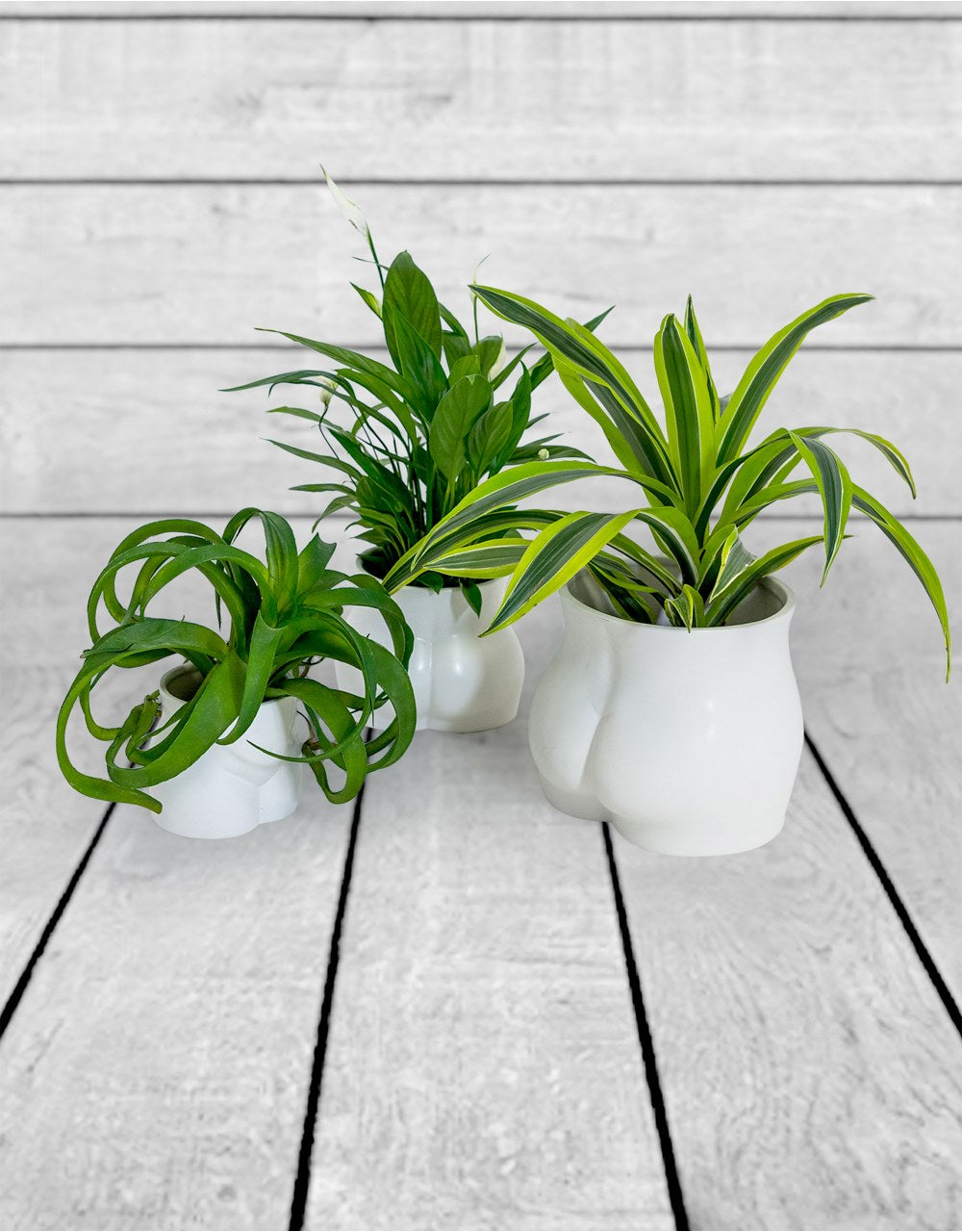 Matt White Large Booty Flower Pot/Storage Jar - BBR30