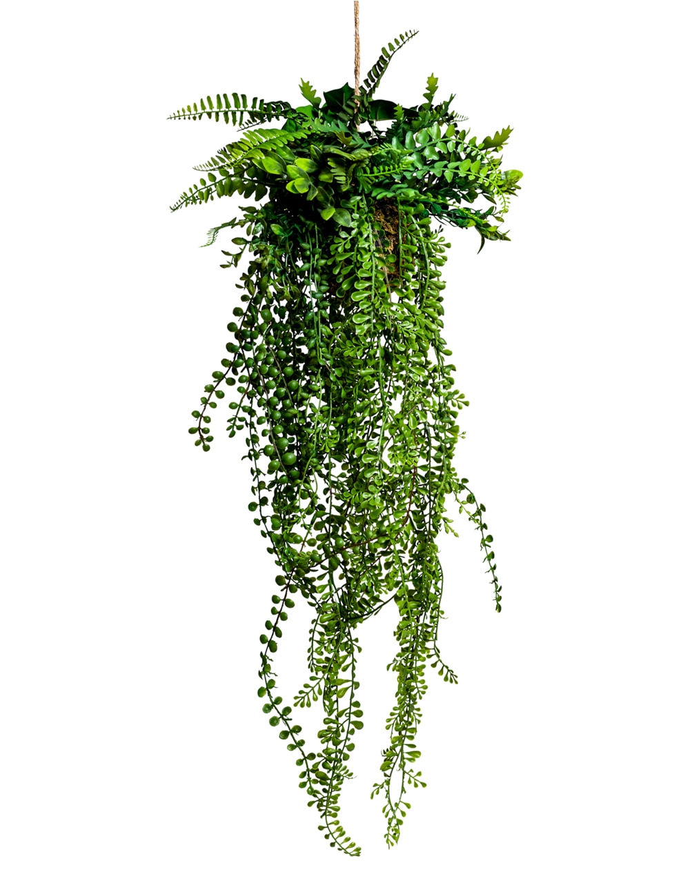 Ornamental Hanging Airplant Vine Arrangement (to be bought in qtys of 6) - AF86