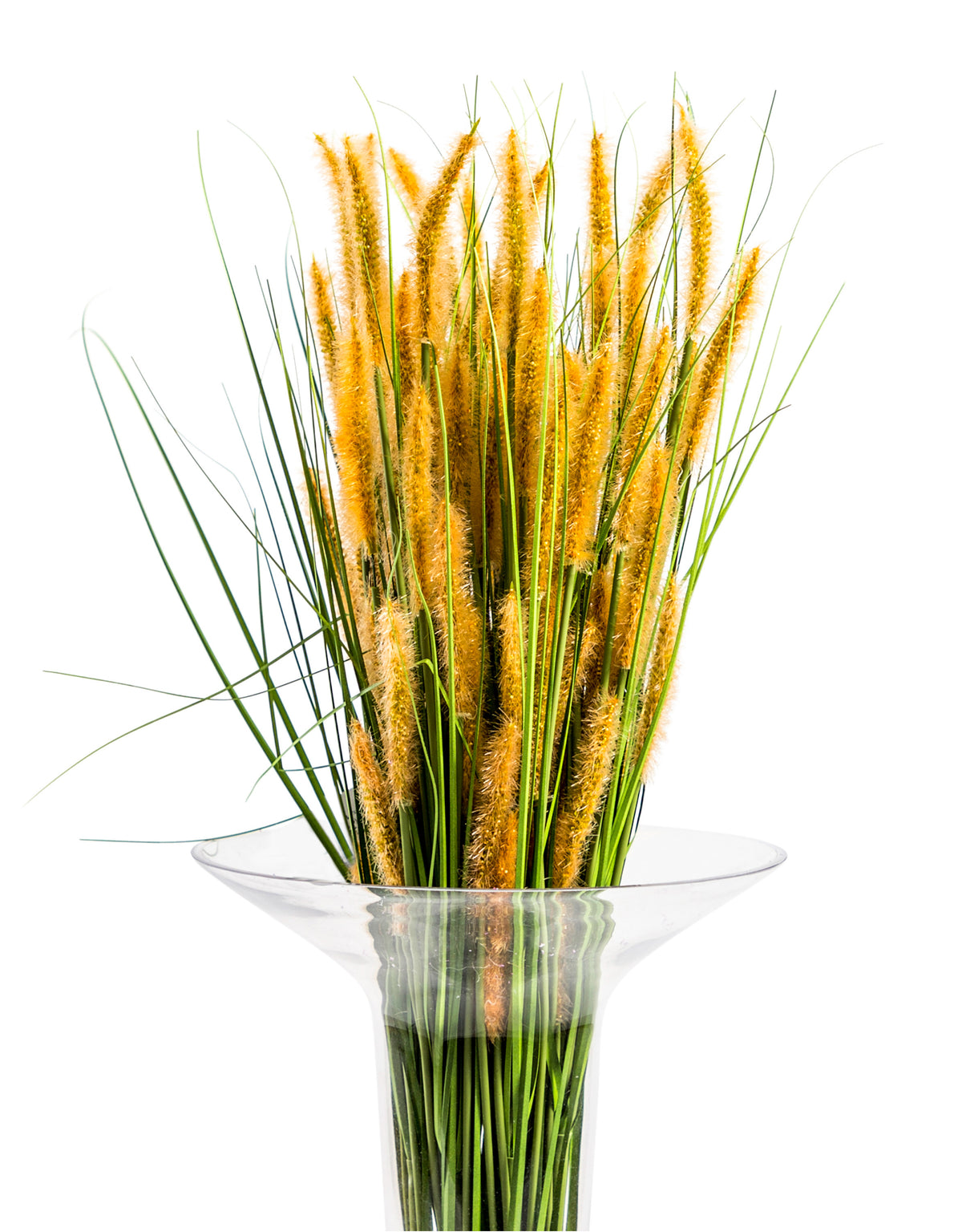 Single Setaria Grass Stem (to be bought in qtys of 24) - AF117