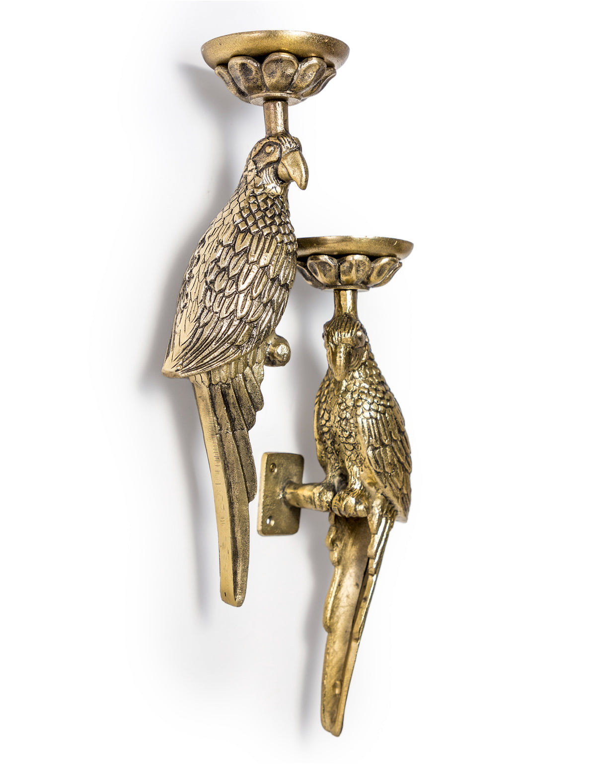 Pair of Large Antique Gold Metal Parrot Wall Sconces - AL168
