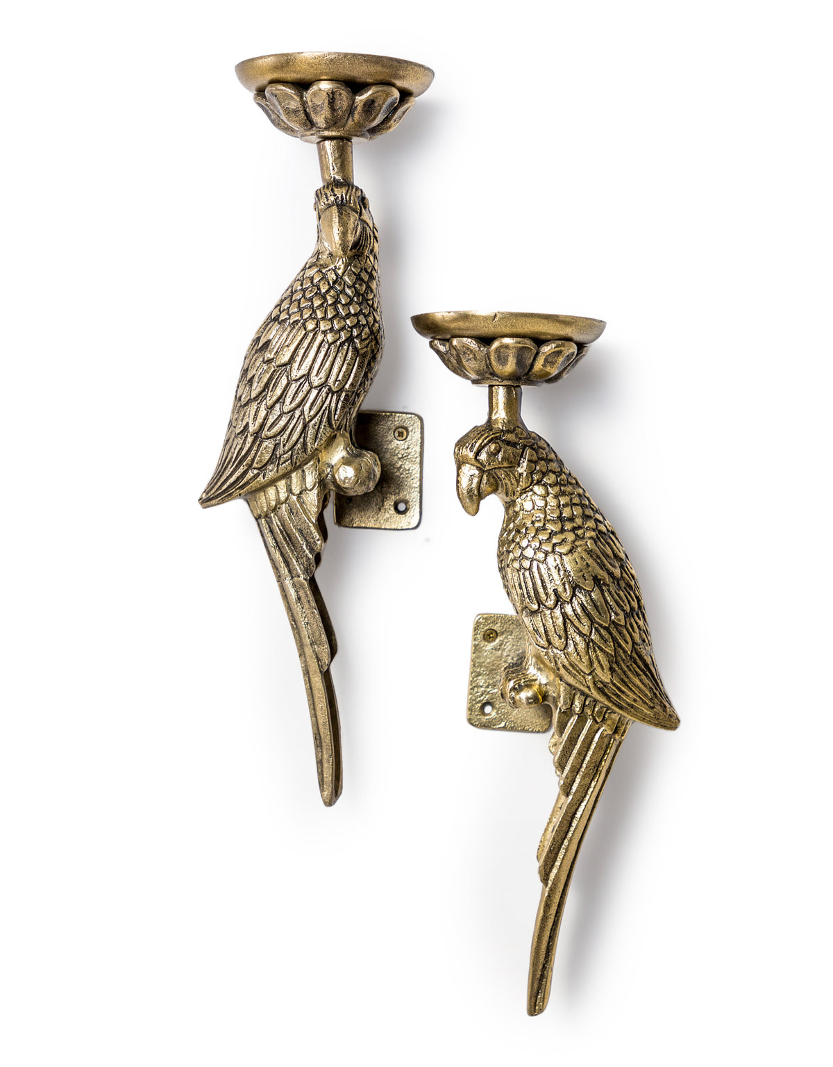 Pair of Large Antique Gold Metal Parrot Wall Sconces - AL168