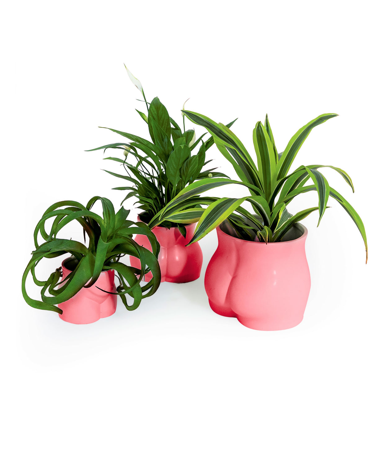 Pink Large Booty Flower Pot/Storage Jar - BBR48