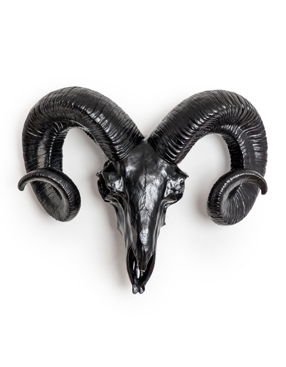 Matt Black Ram Skull Wall Head - BD171