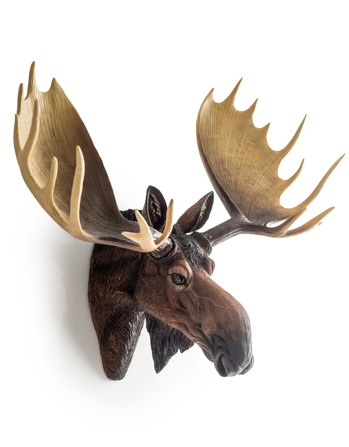 Large Moose Wall Head - BD176