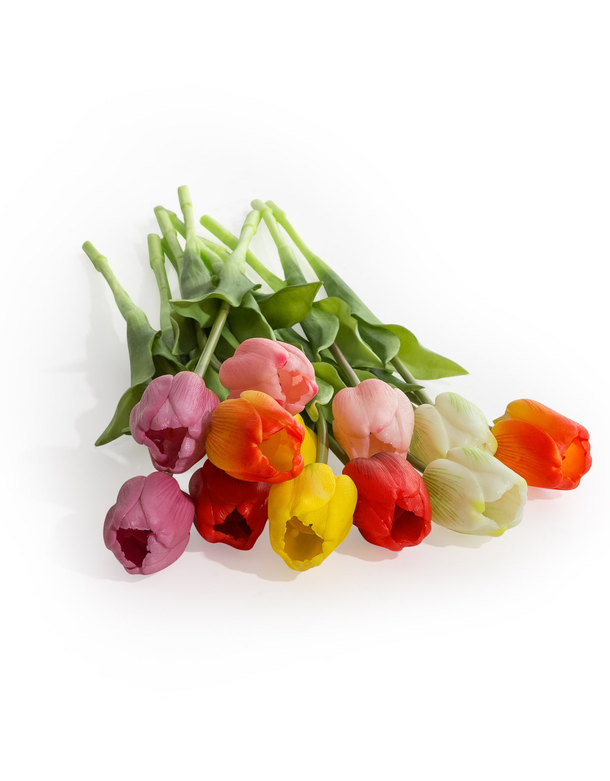 Assorted Mixed Colour Tulip Stems (to be bought in bunches of 24) - AF128