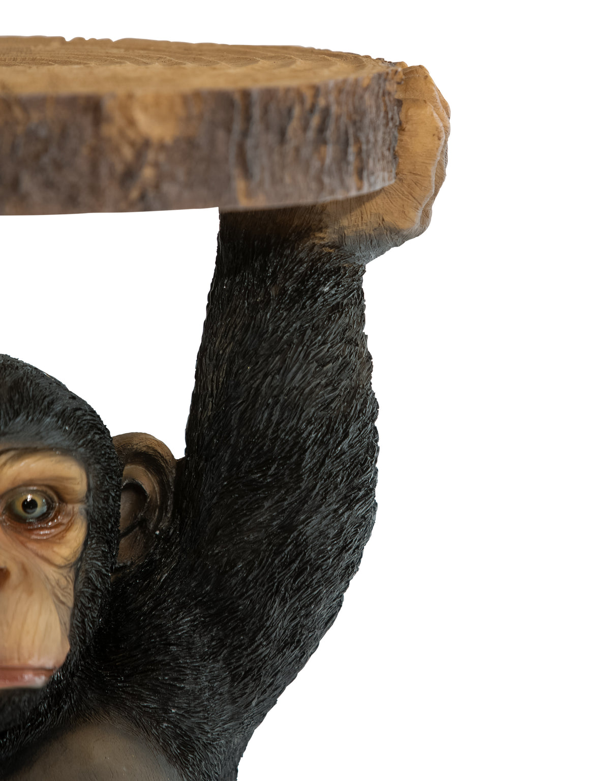 Chimpanzee Holding "Trunk Slice" Side Table - BD173