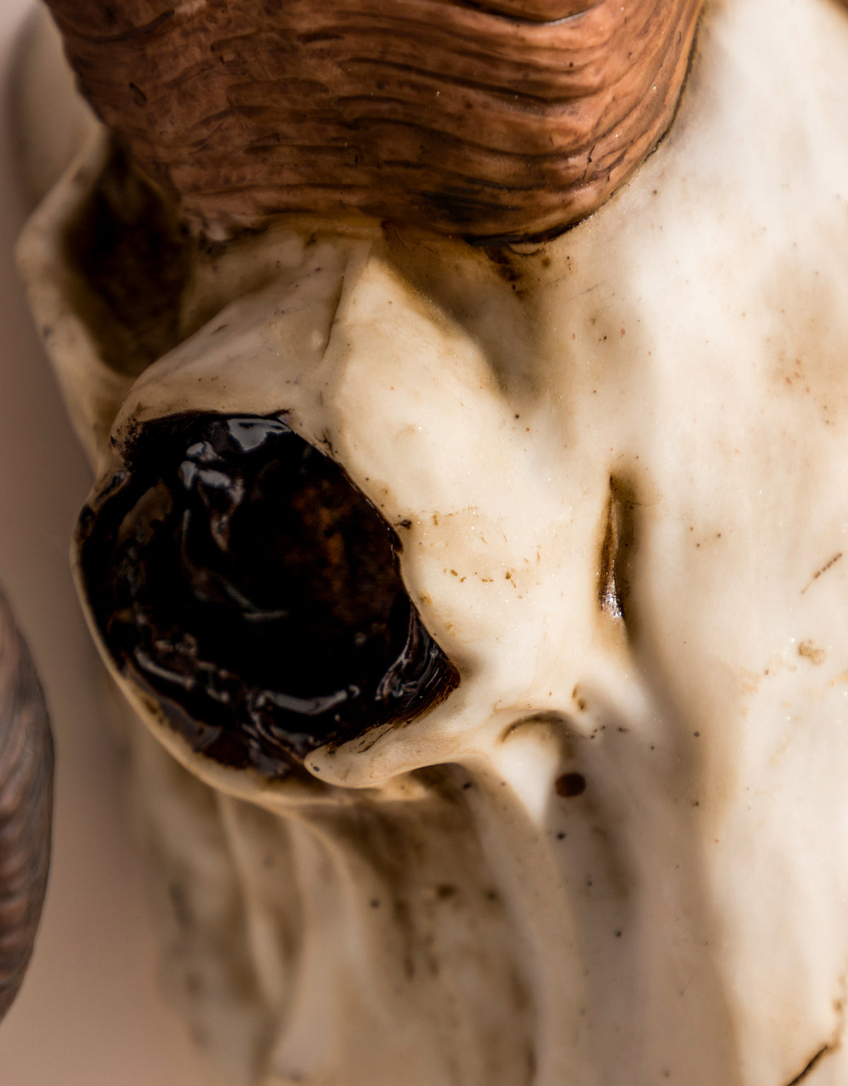 "Natural" Ram Skull Wall Head - BD175