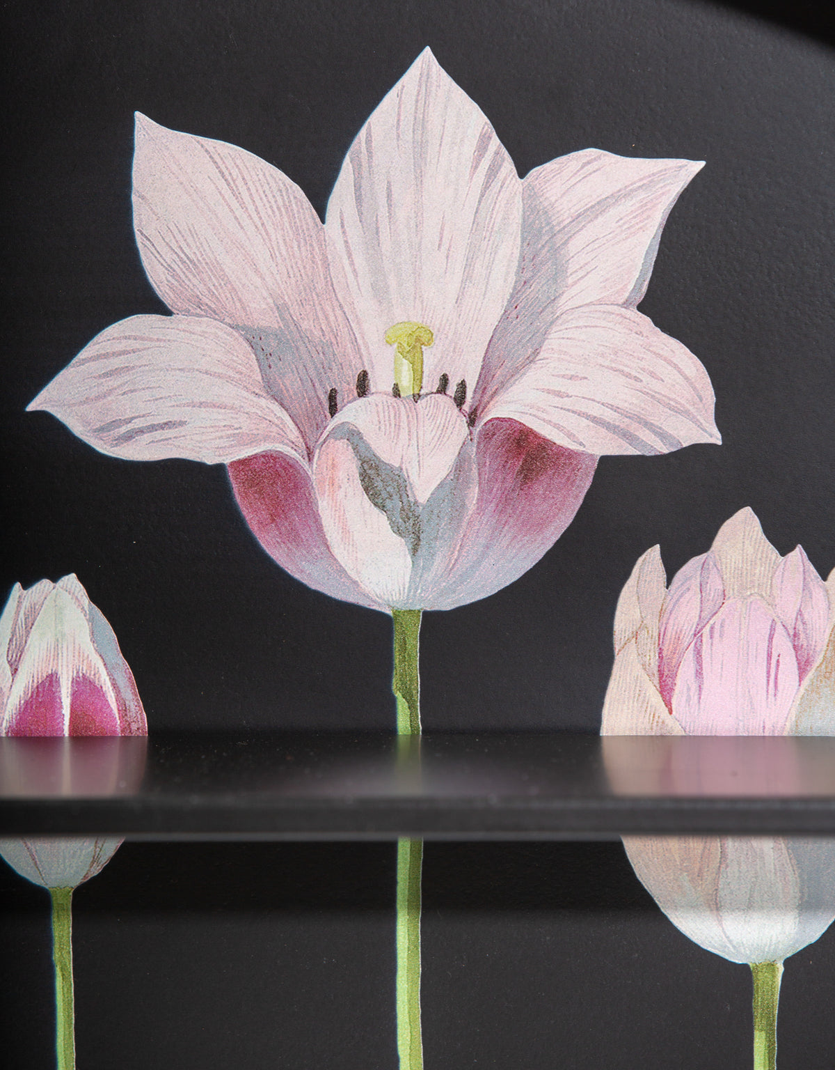 Large Black Floral Metal Wall Unit with Shelves - CRT121
