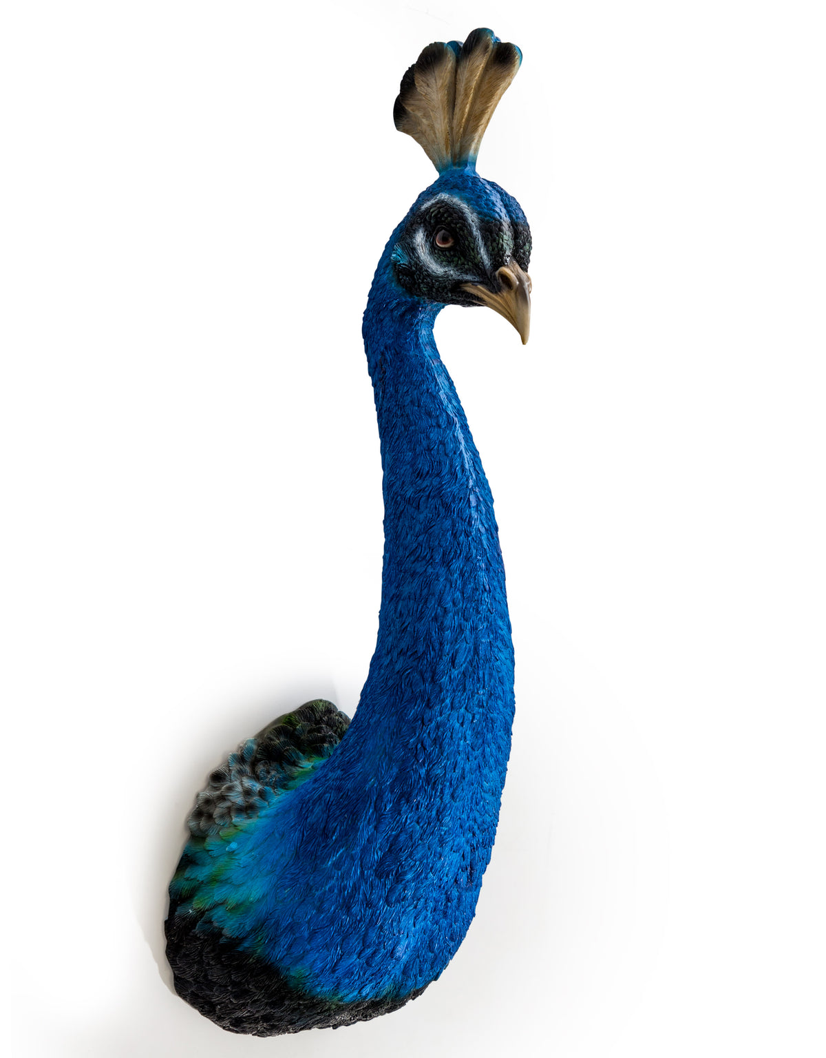 Peacock Head Wall Figure - BD181