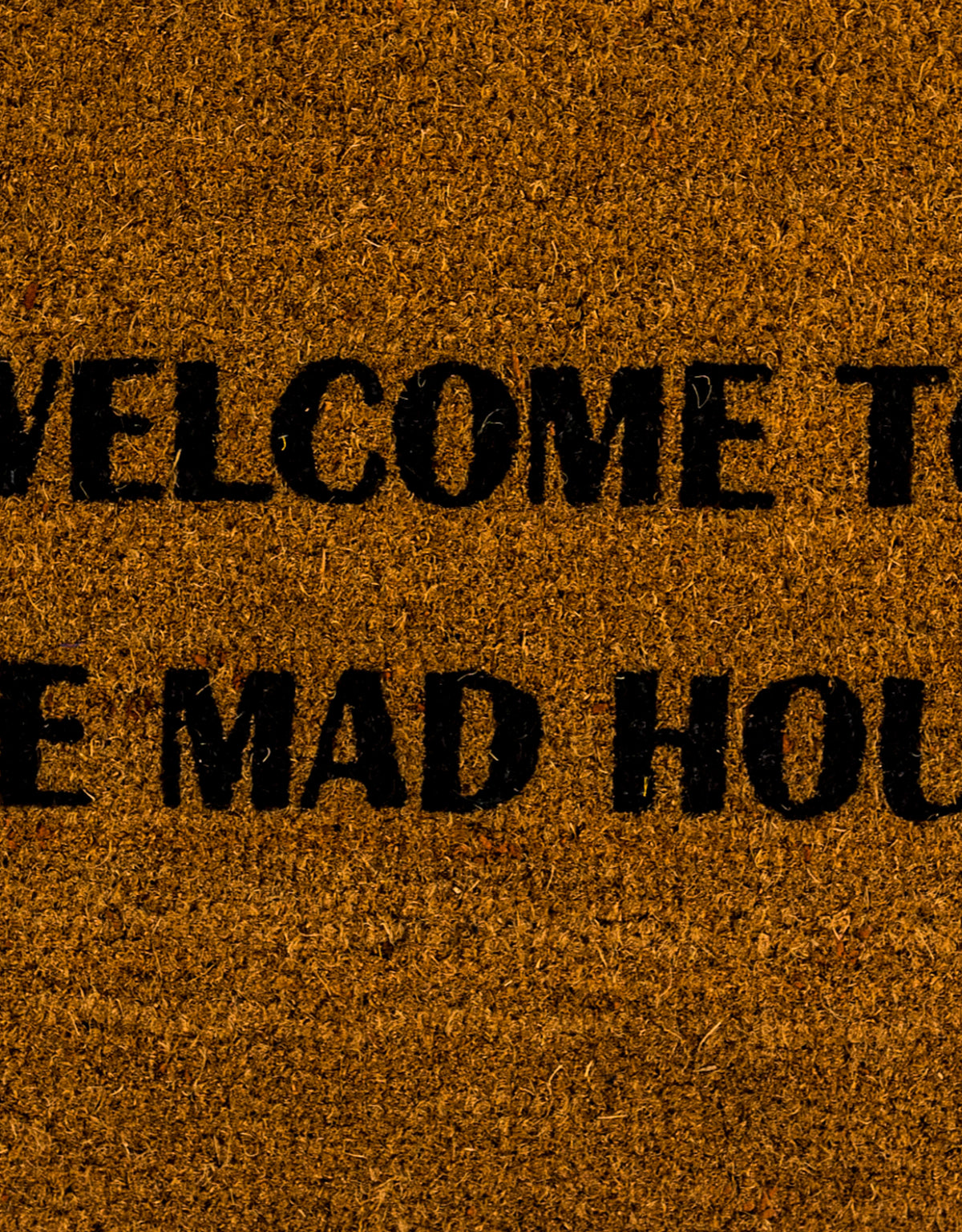 "Welcome To The Mad House" Doormat - CDM17