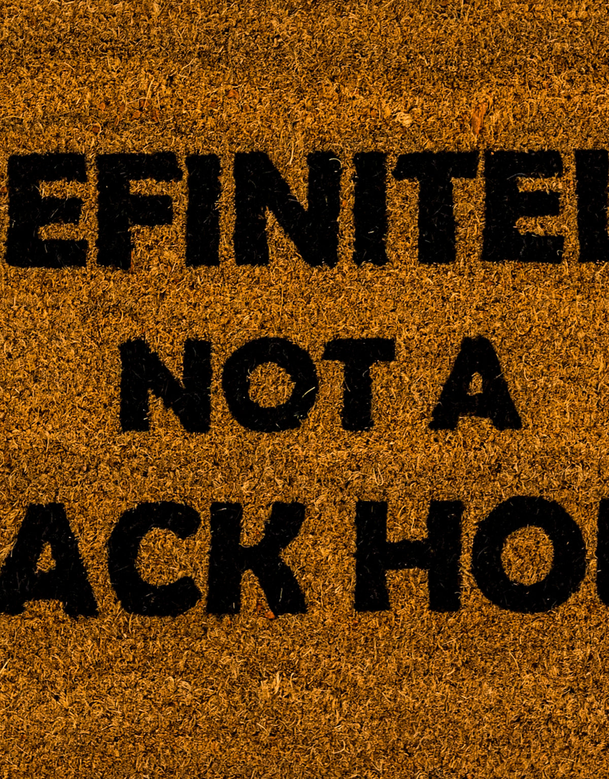 "Definitely Not a Crack House" Doormat - CDM20