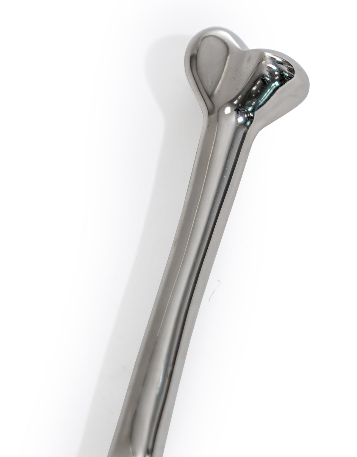 Large Bone Magnifying Glass - AHL17