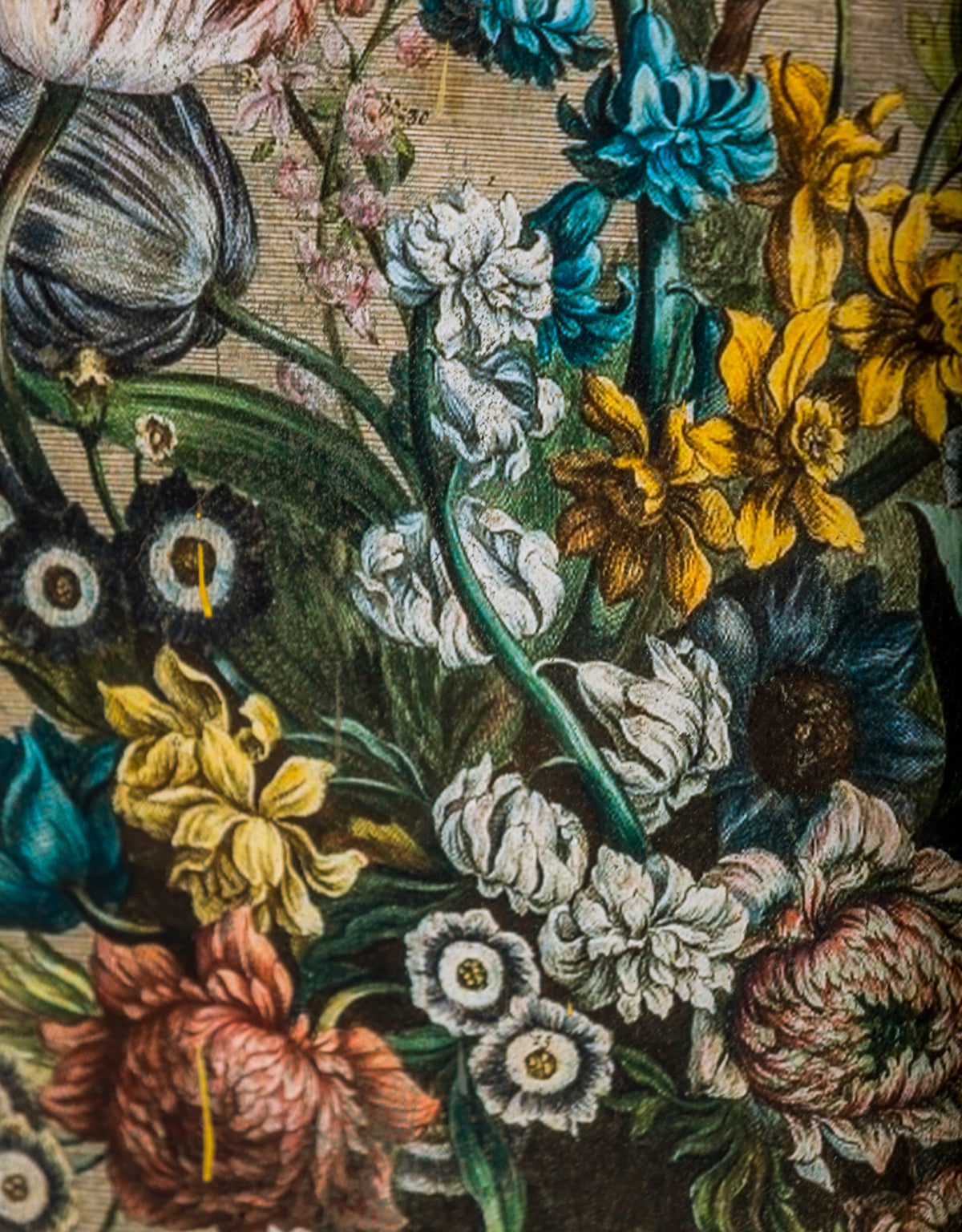 Set of 2 Antiqued White Boho Floral Wall Prints - JCS29