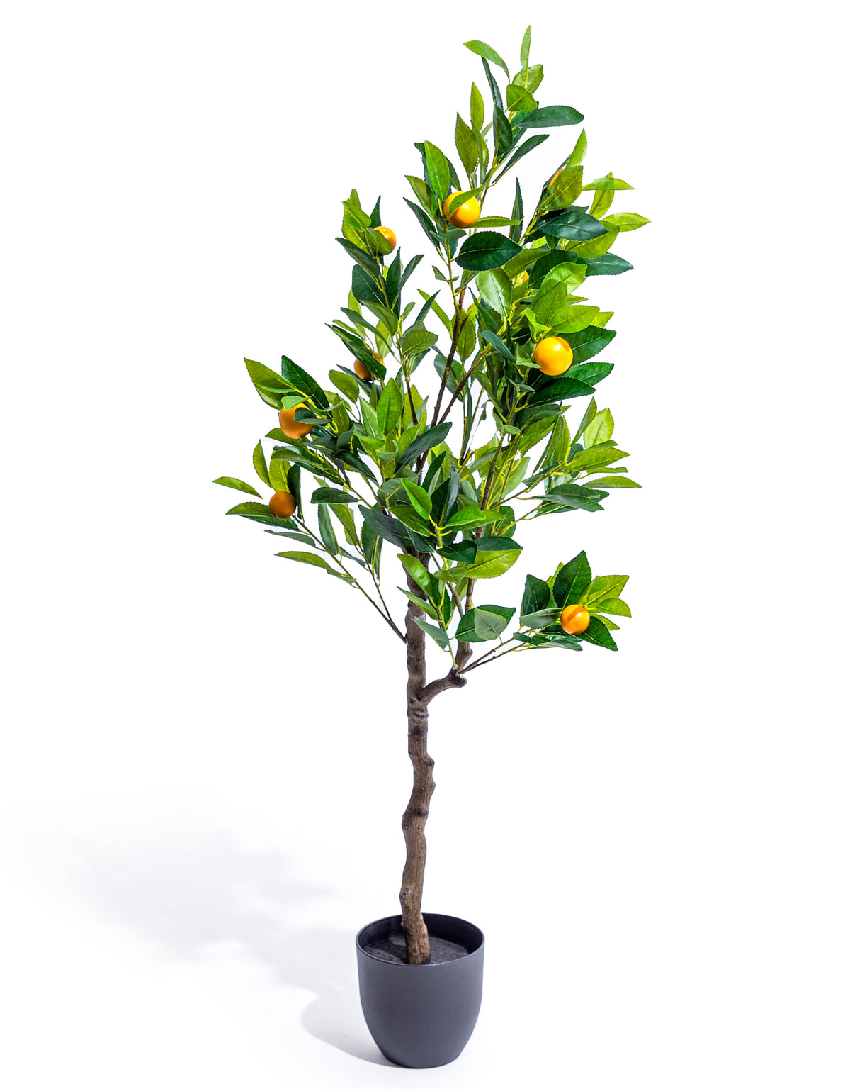 Large Ornamental Potted Orange Tree - AF130