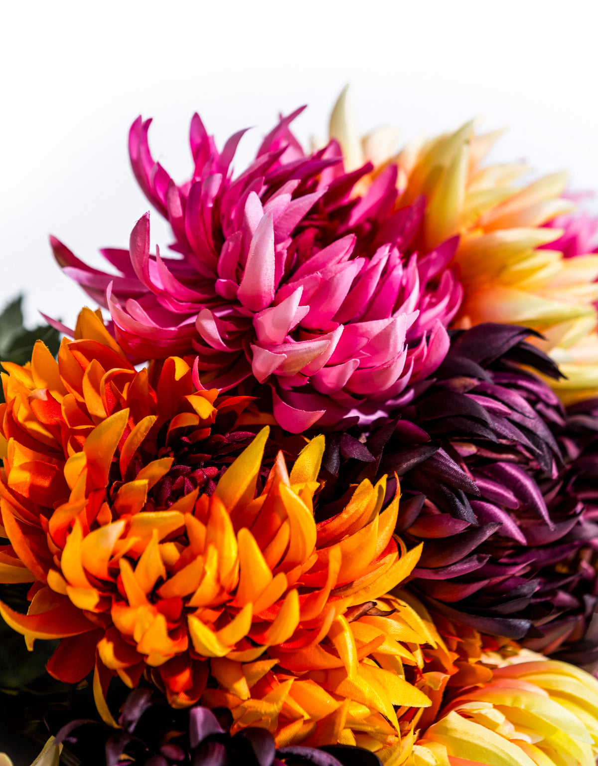 Assorted Mixed Colour Daisy Ball Stems (to be bought in bunches of 12) - AF134