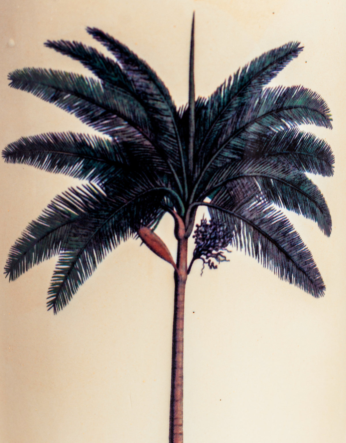 Ceramic Lithograph Palm Tree w/ Royal Seal Umbrella Stand - BP319