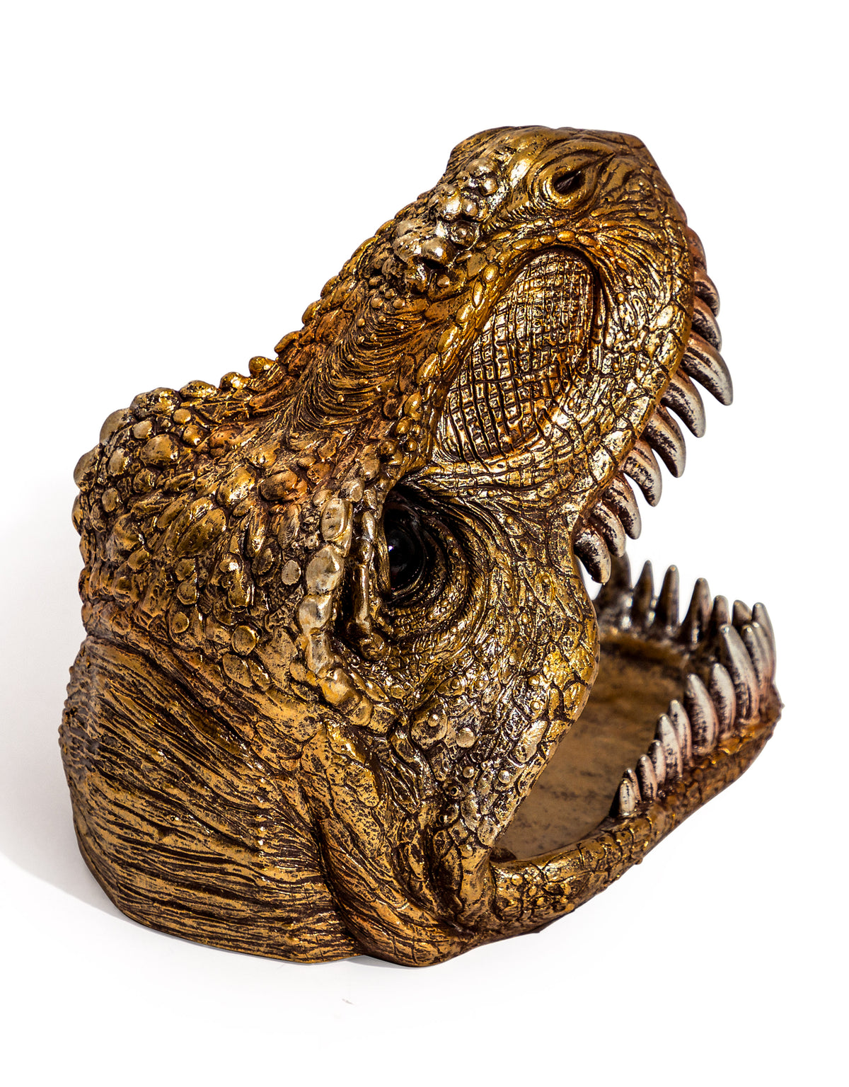 T-Rex Head Storage Dish - BD185