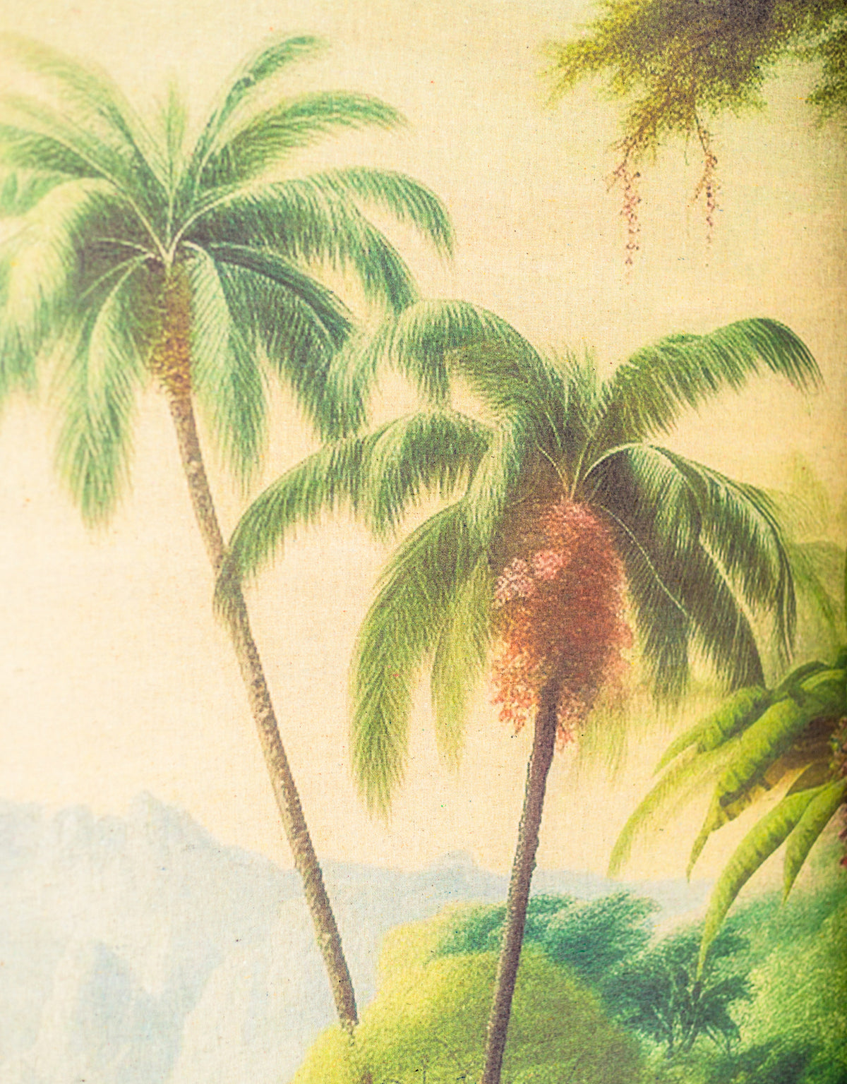 Extra Large Rainforest Landscape Wall Hanging Canvas Print - PSC21