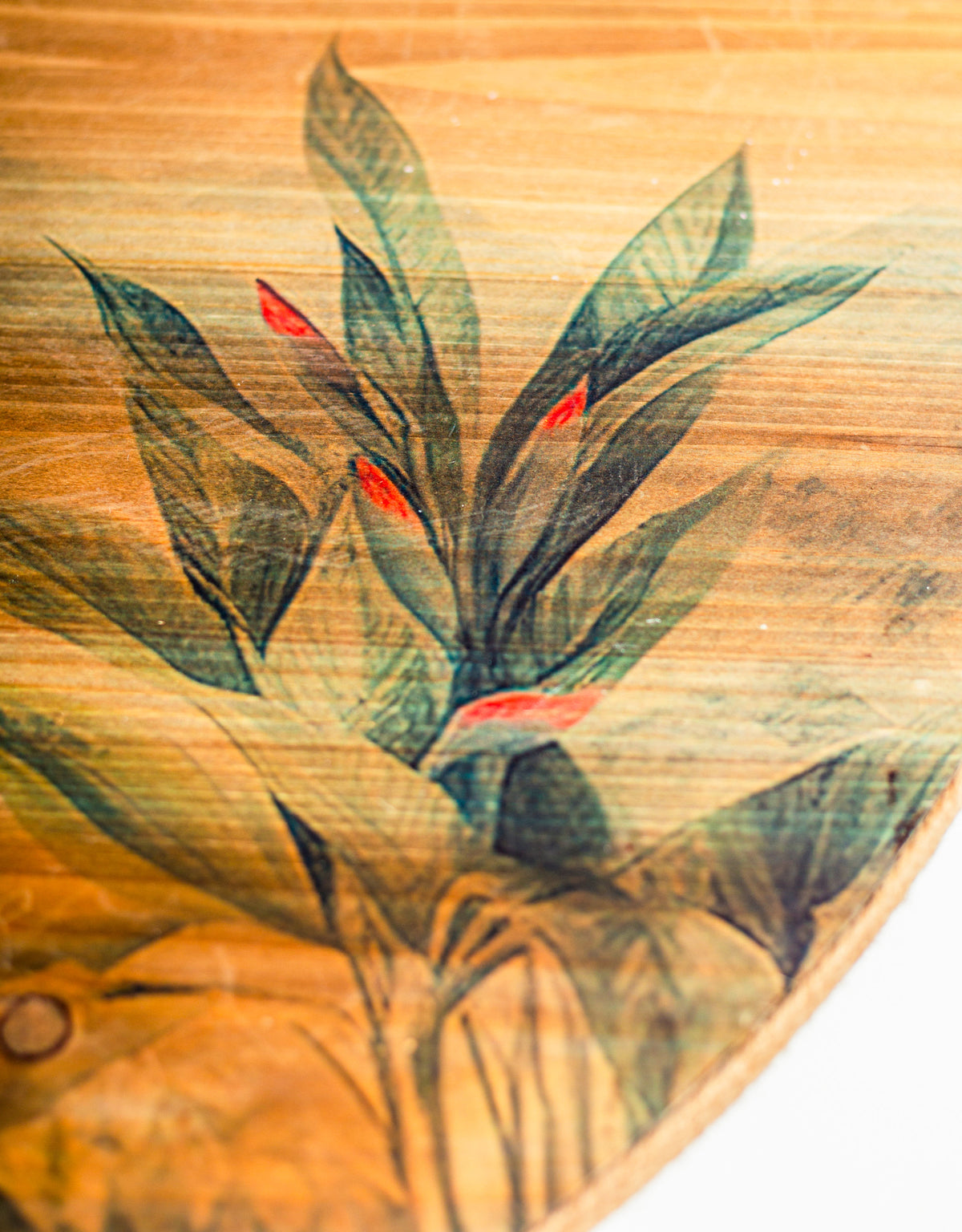 Tropical Landscape Round Coffee Table 80cm - PSC17