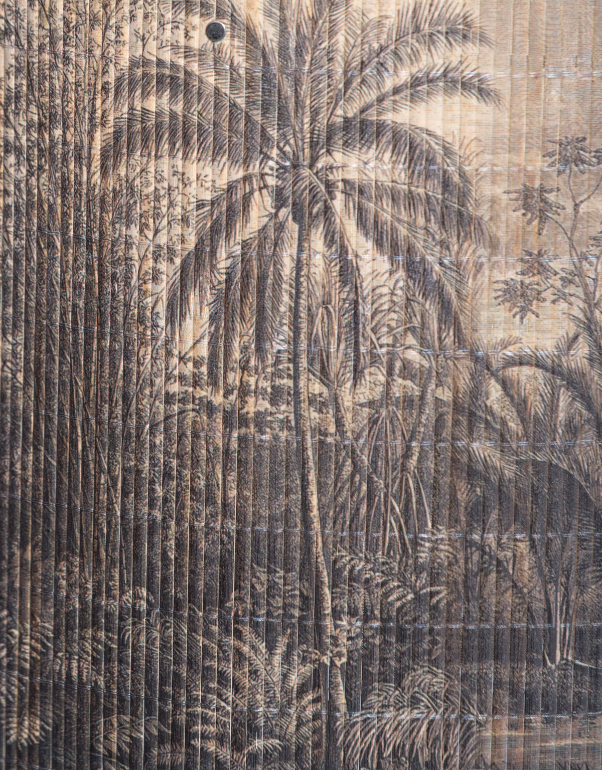 Tropical Scene Bamboo Shade 40cm - PSC15