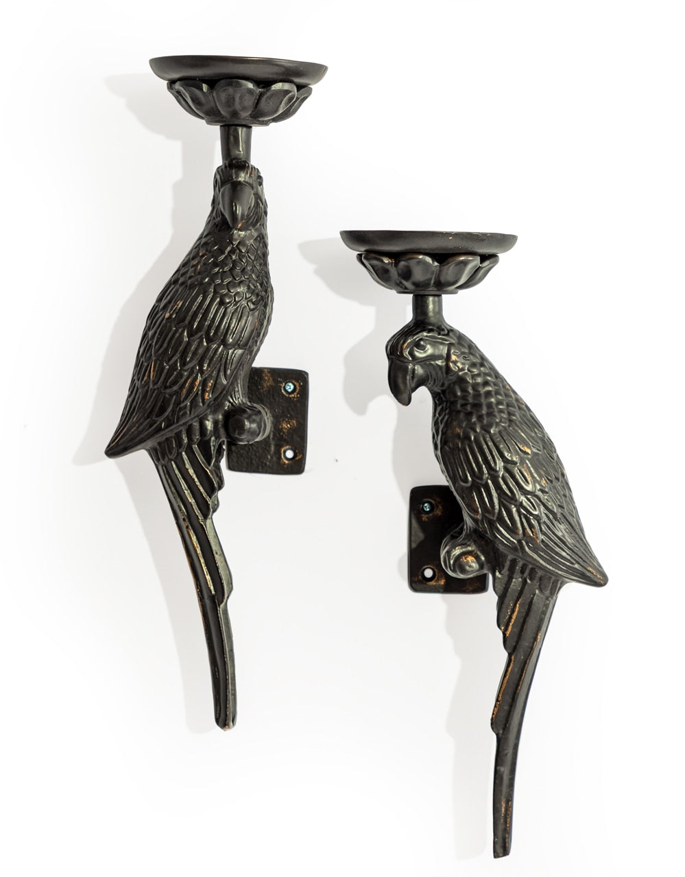 Pair of Large Distressed Black Metal Parrot Wall Sconces - AL181