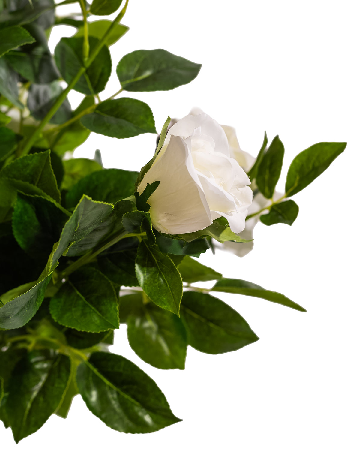 Large Ornamental Potted White Rose Tree - AF137
