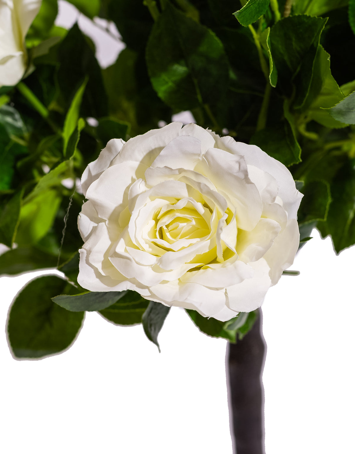 Large Ornamental Potted White Rose Tree - AF137