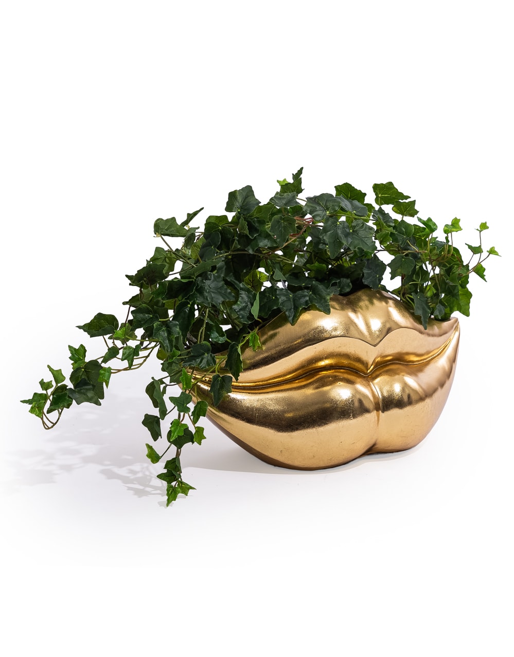 Extra Large Gold Lips Planter - DVM70