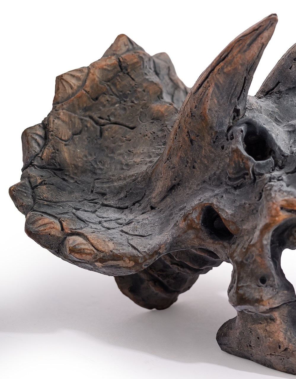 Triceratops Skull Table Decor - BD207
