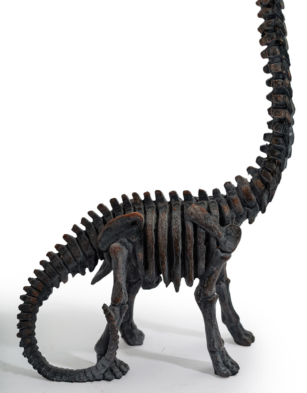 Brachiosaurus Dinosaur Skeleton Ornament - BD208