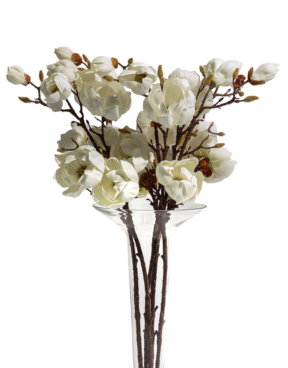 Magnolia Branch Stem - AF146
