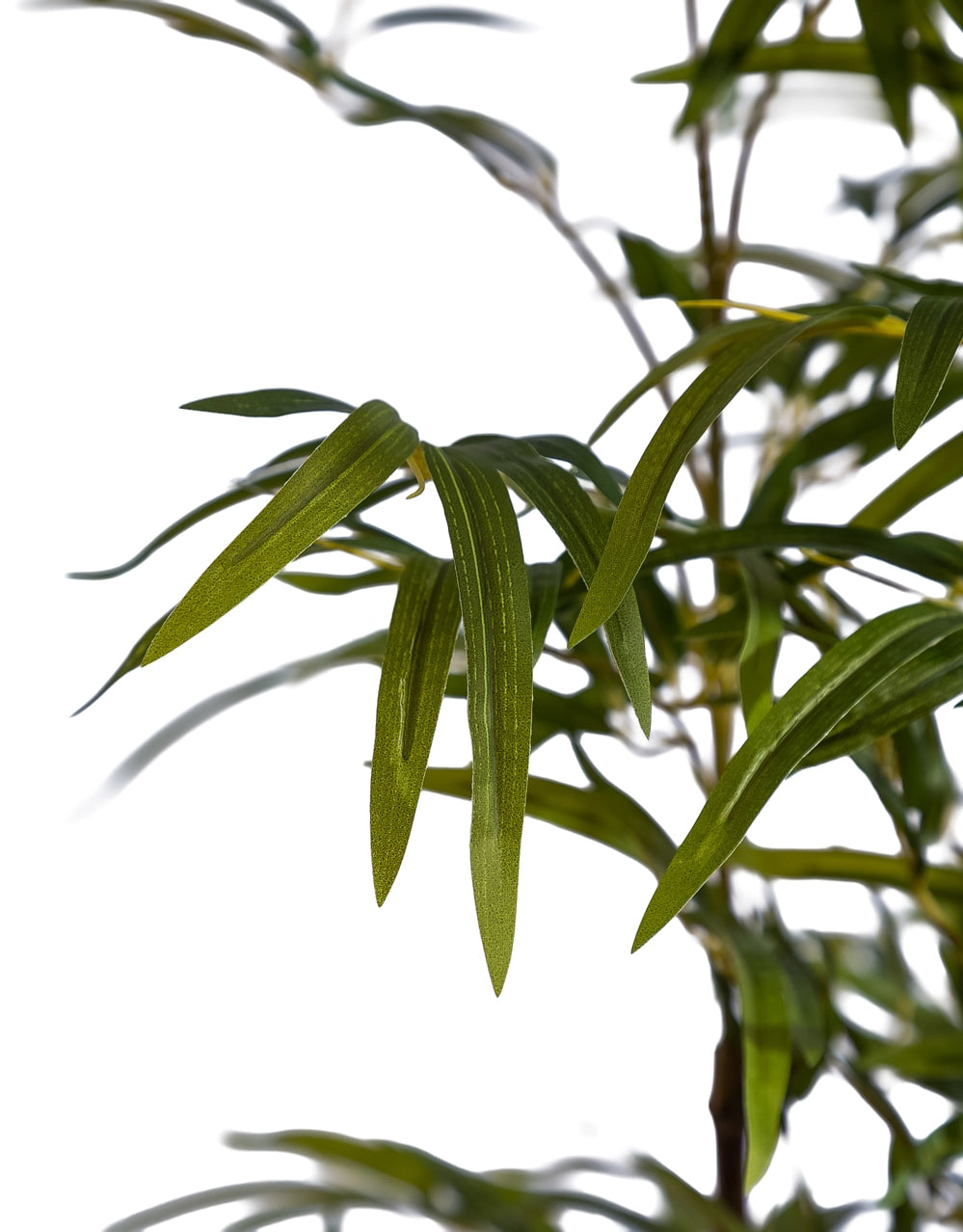 Classic Bamboo Tree - AF149