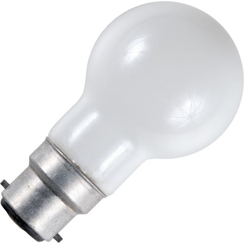 Schiefer Ba22d G50x90mm 24V 40W C-6 1000h Frosted 2500K Non-Dimmable - 652224040