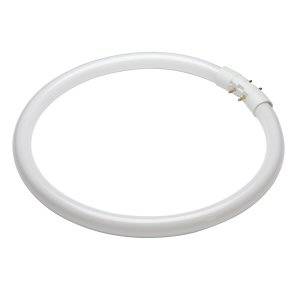 Circular Fluorescent Tube 55w T5 2Gx13 Osram Coolwhite/840 Light Bulb - FC55840 - 305mm - 4000K