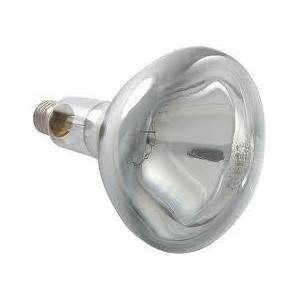 Food Catering Bulb 300w 240v E27/ES Clear Hard Glass R125 Heat Light Bulb