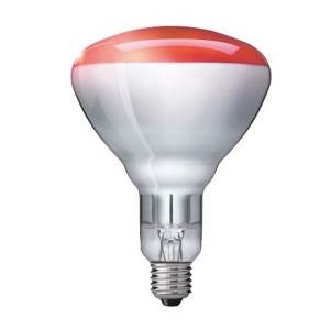 Infrared 250w 240v E27/ES Red Front Hard Glass R125 Heat Light Bulb